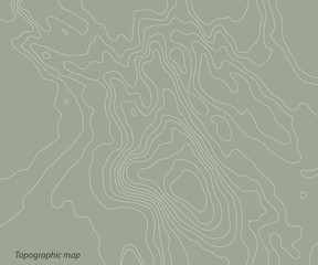 Topography relief map on a green background. Vector illustration .