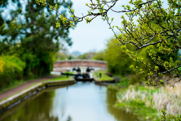 Fototapeta na wymiar Spring on the Canal