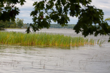 Ludington State Park, Michigan