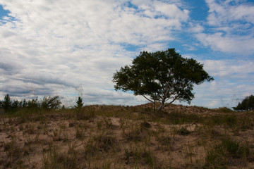 Ludington State Park, Michigan