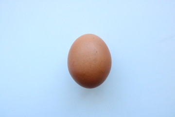 Egg