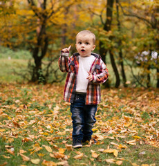 Little cute boy in autumn park