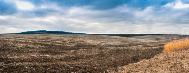panoramic view of planting seeds in the ground as part of the early spring time