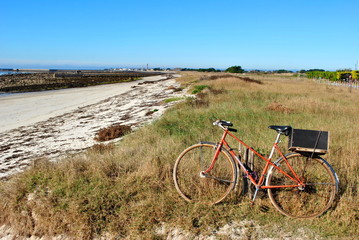 Obraz premium Penmarch plage du steir 7