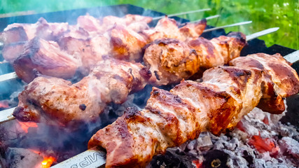 Skewers roasted on the grill with the coals on the outdoors