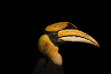 banana on black background