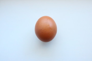 Egg