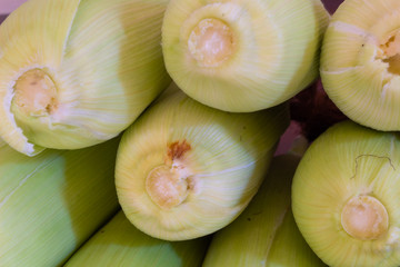 Close up of Mexican corn on a wooden table
