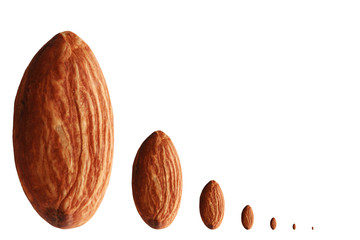 creative set of almonds isolated on white background