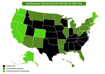 infographic marijuana legalization status in the usa,vector infographic.