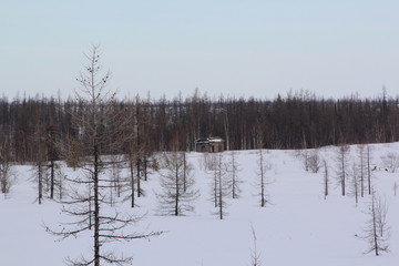 501 construction sites in the YNAO (Stalin GULAG)