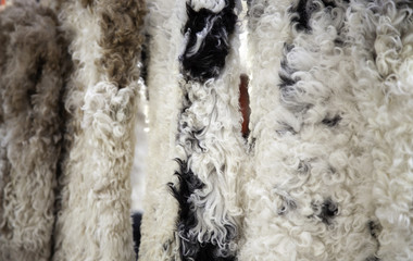 Sheep wool clothing