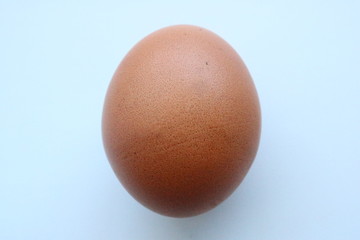 Egg