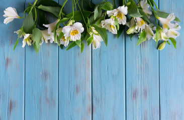 Template birthday greeting card. Blue wooden background with flowers of astormia in white. The...