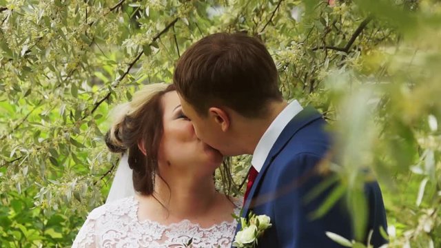 Newlyweds kissing in flowered tree