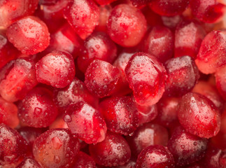 cranberries on white background