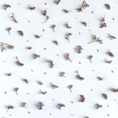 Pattern of wild flowers on a white wooden background. Lilac natural dried flowers on a white background. Flower pattern