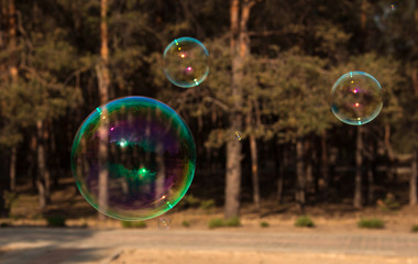 soap bubbles into the sunset with beautiful bokeh.close-up