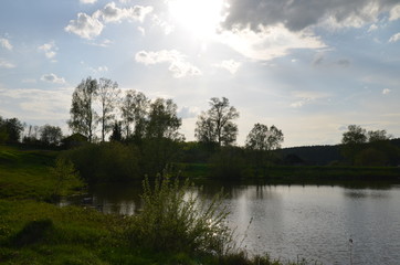 Summer landscape, pond and forest on the horizon.