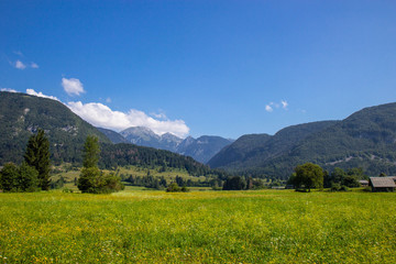 Fototapeta na wymiar Summer sunny scene of mountains in Triglav National Park in Slovenia
