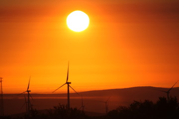 Obraz premium Central Washington Wind Turbines at Sunrise