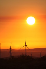 Obraz premium Central Washington Wind Turbines at Sunrise