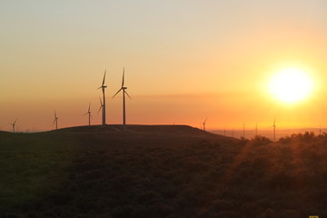 Fototapeta premium Central Washington Wind Turbines at Sunrise
