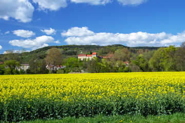 Fototapeta na wymiar Burg Creuzburg hinter Rapsfeld im Wartburgkreis