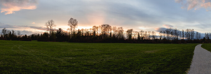Open field in park