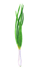 Branch of green onion