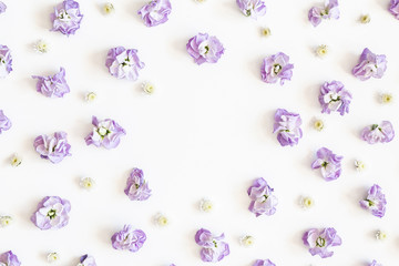 Flowers composition. Purple flowers on white background. Spring, easter concept. Flat lay, top view