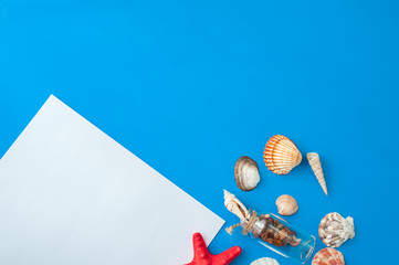 White paper sheets and seashells on a blue background