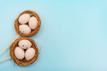 Easter eggs on blue background