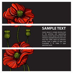 Set of veсtor horizontal banners with hand drawn red poppies on dark background.
