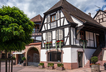 Fototapete bei efototapeten.de bestellen   