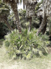 Park de naturaleza