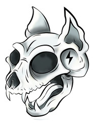 cat skull