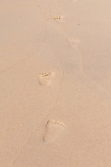 footprints in the sand