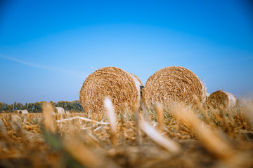 Hay bail harvesting in wonderful autumn farmers field landscape with hay stacks