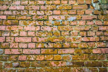 Brick wall in close up	