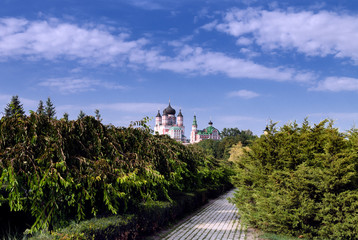 walking road in the park