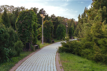walking road in the park