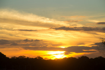  Amazonian evening