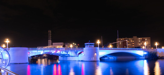 Tampa Waterfront park landscape