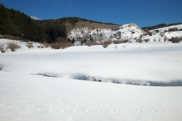 Frozen Lake In Winter Landscape