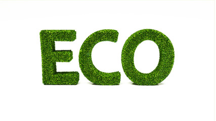 3D rendering ECO word made of green grass, save the earth concept