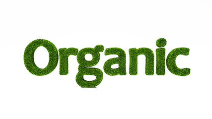 3D rendering ORGANIC word made of green grass, save the earth concept