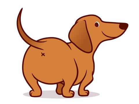 Cute wiener sausage dog vector cartoon illustration isolated on white. Simple  drawing of friendly tan dachshund puppy, rear view. Funny doxie butt, dog lovers, pets, animals theme.