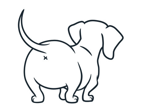 Cute dachshund sausage dog vector cartoon illustration isolated on white. Simple black and white line drawing of  wiener puppy, rear view. Funny doxie butt, dog lovers, pets, animals theme.