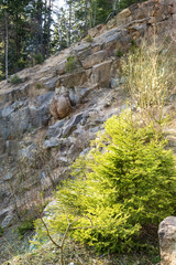 Natural spherical boulders in Megonky - Cadca (SLOVAKIA)